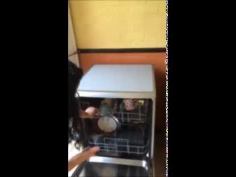 Zanussi dish washer review