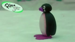 Pingu runs away from home in Luig group