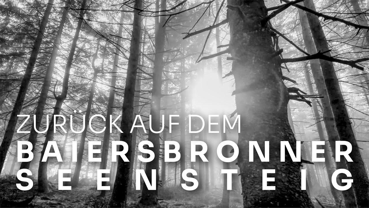 Zurück auf dem Baiersbronner Seensteig - vom Mummelsee nach Schönmünzach | Wandern im Schwarzwald