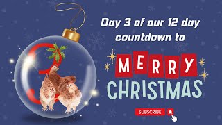 Day  3 of our 12 day countdown to Christmas