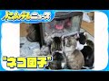 【猫団子】かわいい背中が密集　暖を求めストーブ“争奪戦”