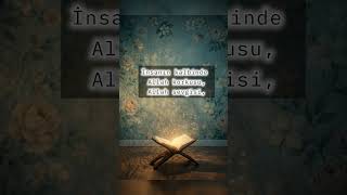 Huzurlu fert, huzurlu toplum🌼 #risaleinur #bediüzzaman #iman #dinivideolar