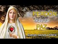 EL PERDÓN TRAE LA PAZ - Buenas noches a María