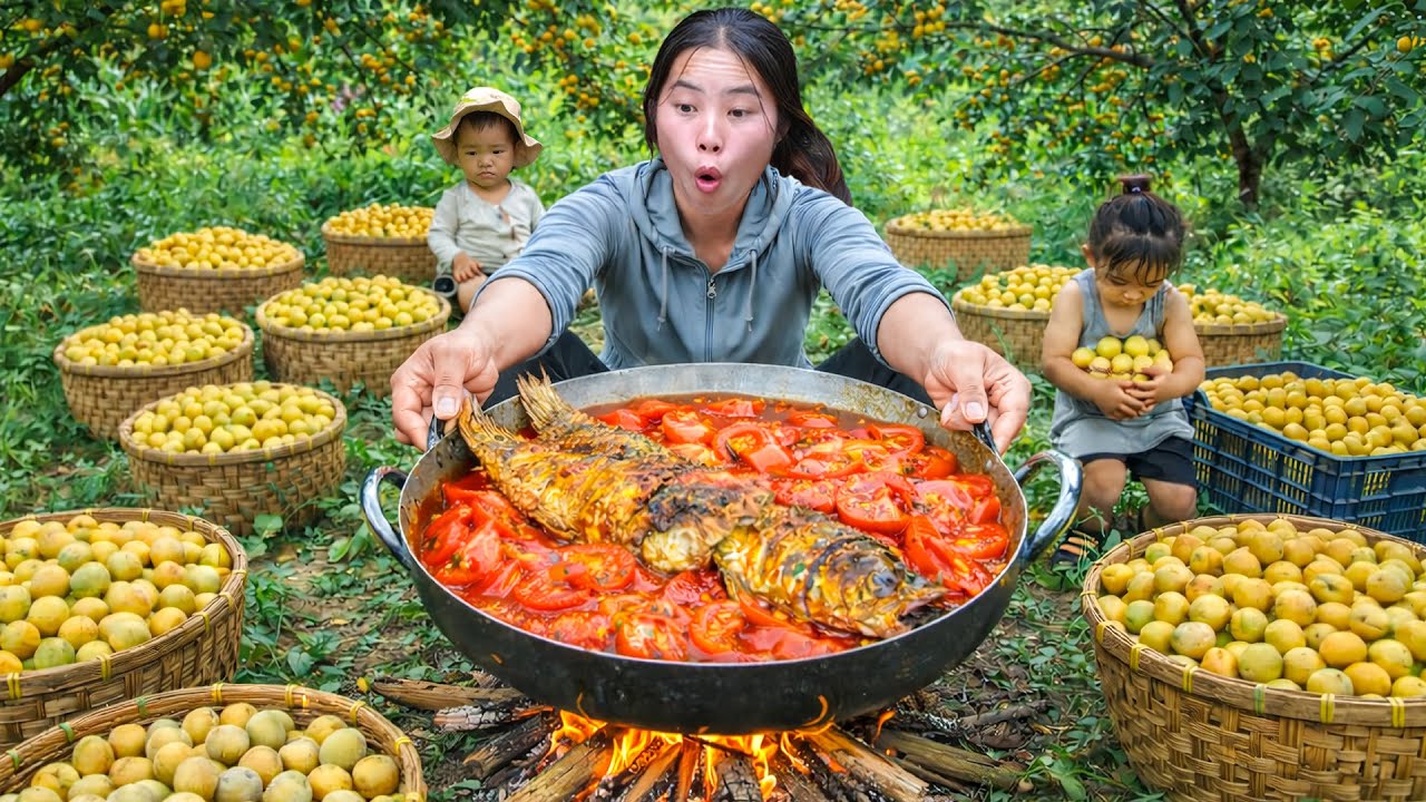Harvesting 2300kg+ Sour Forest Plums to Sell, Cooking Fish in Tomato Sauce & Pumpkin Soup for Family