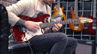 Edwards E-SN-145FR Услышать за 60 секунд