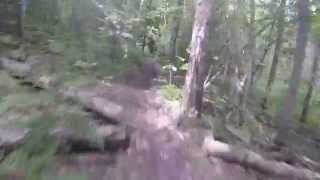 Tomahawk C loop fast section