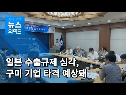 구미시, 일본 수출규제 따른 영향 심각 / 대구경북 현대HCN