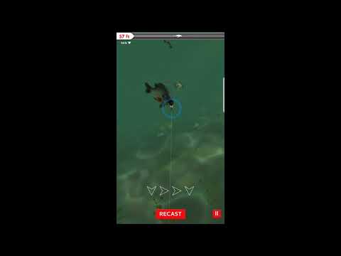 Rapala Daily Catch How to Catch Legendary Fish