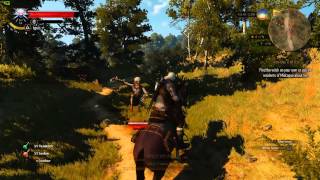 Witcher 3 Gameplay with Grass Fix