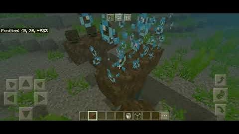 What if we created a wither underwater ?