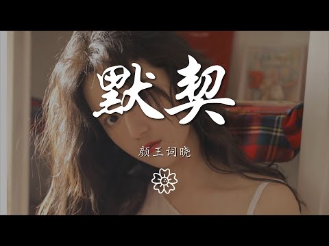 顏王詞曉 - 默契（翻自 康天庥）『由始至終 只有你一位』【動態歌詞Lyrics】