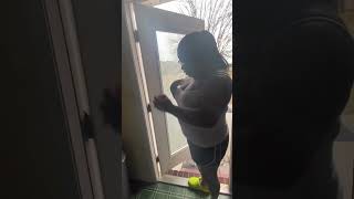 Download Lagu Mijn sugar daddy was aan het plunderen in mijn spullen en vond mijn rozenknuffel. Hij gaat nog vi... MP3