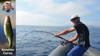 Choisir entre Tresse 4 ou 8 Brins pour la Pêche : Tous nos Conseils Pratiques !