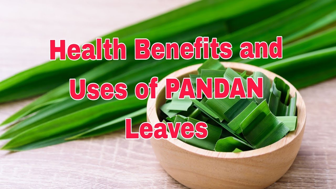 Pandan Leaves Benefits