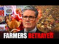 Prime Minister SHOCKED Over News That Is Killing UK Cattle Farmers