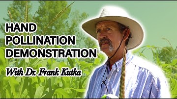 Hand Pollination Demonstration with Dr. Frank Kutka