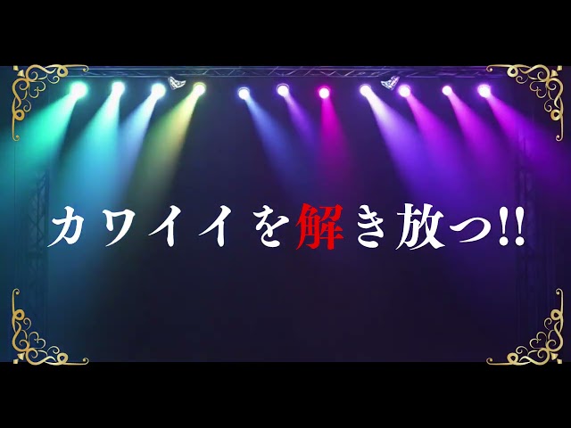 ROXiCHU 新メンバー募集