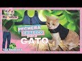 PECHERA CHALECO PARA GATO ✂️TUTORIAL👖♻️ Ropa para Gato