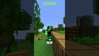 Minecraft Tarihinin En Tuhaf Köyü