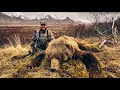 TOP 3 BIGGEST GRIZZLY BEARS EVER HARVESTED! - (compilation)