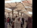 الدخول من باب النساء إلى داخل المسجد النبوي#جولة#المدينة المنورة