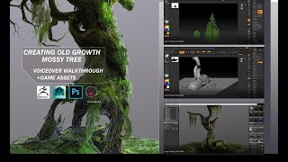Creating Old Growth Mossy Tree: Tutorial and Game Assets Trailer Creating Old Growth Mossy Tree: Tutorial and Game Assets Trailer