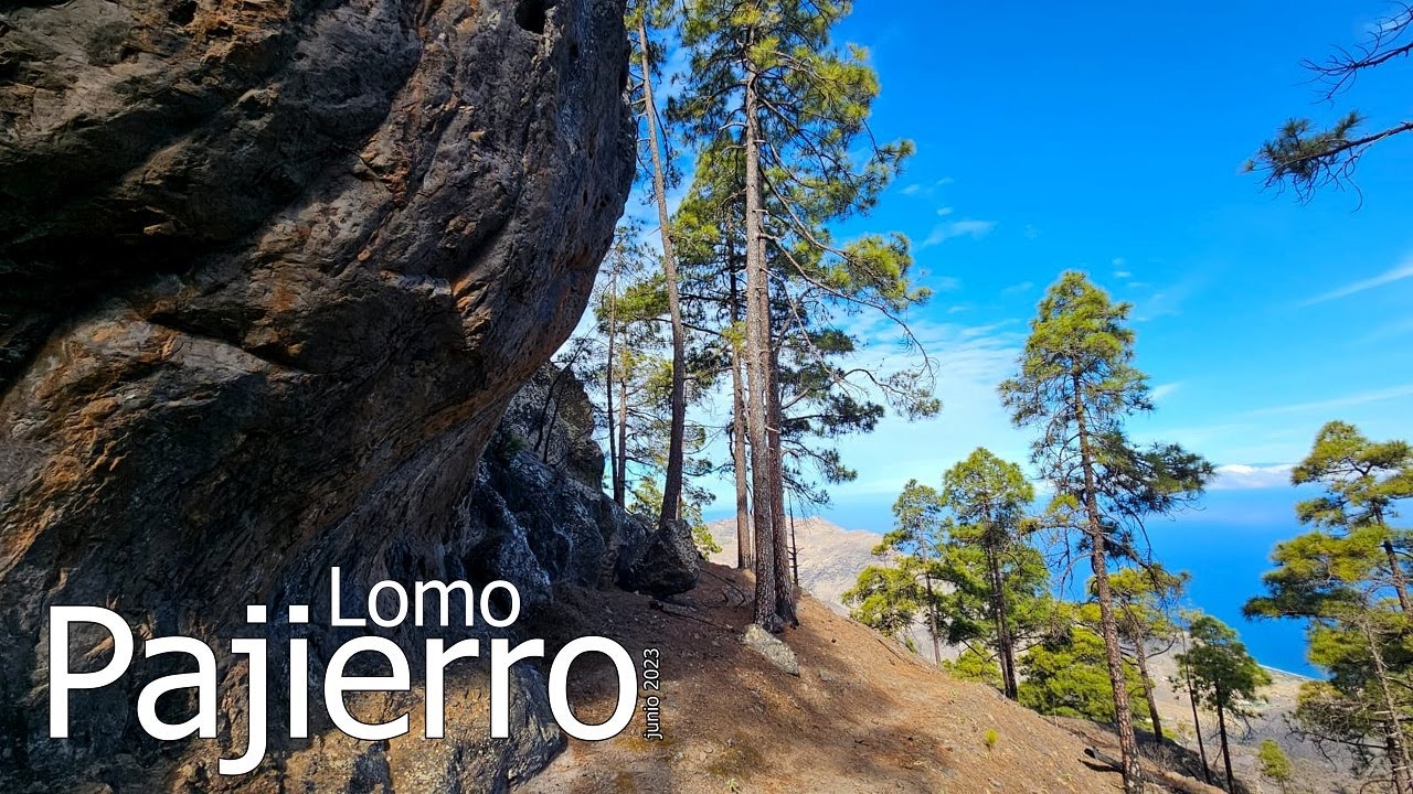 LOMO PAJIERRO (junio 2023)(c)