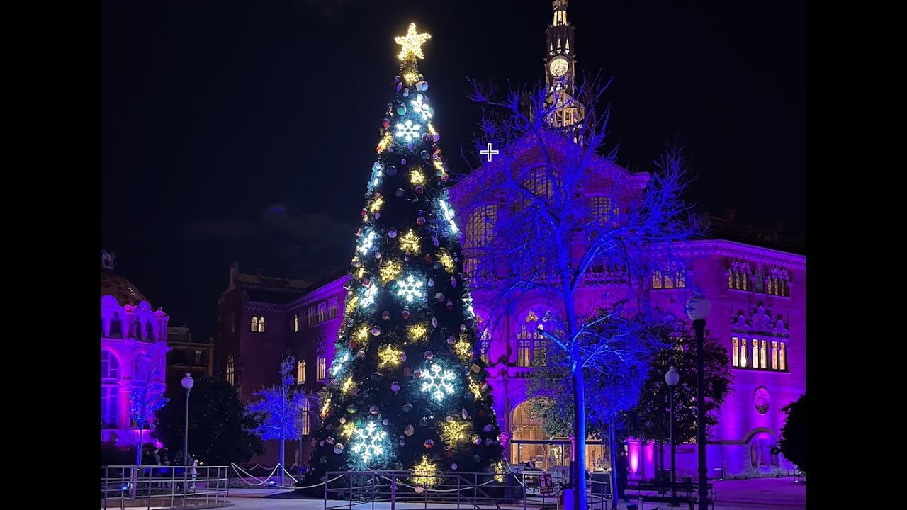 Vlogmas 13 | Een uitstapje en het verhaal van mijn kerstboomversiering