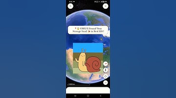 😱 OMG!! I Found Very Strange Snail 🐌 on Google Map||Google Map||#shorts#searchwithjay #snail