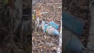 Вот так и жил - пока жив был.  #assistancetv #fishing #рыбалка #рыбалканареке #риболовля