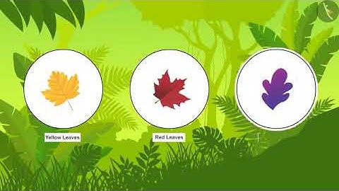 Class 3 EVS Chapter 2 