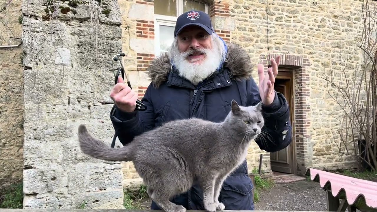 AVA fête ses 20 ans !