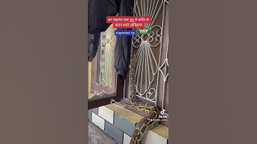 Burmese python #snake #shorts