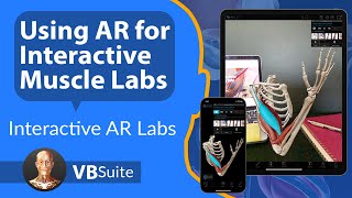 Visible Body Use Ar For Interactive Muscle Action Labs