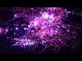 Screening and Q&A: Digital voices – Technology for an inclusive world