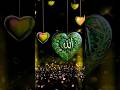 har zamana mara Hasan ka 💞💞🎉💝🎉💝🌹💘💖🥀🕋