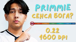 :  PRIMMIE  ?   