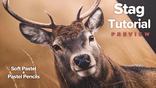 STAG Drawing Tutorial Preview | Soft Pastels & Pastel Pencils - Dynamic Background, Realistic Fur + screenshot 5