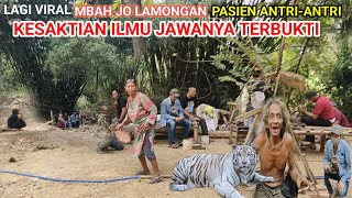 VIRAL LAGI MBAH JO!ilmu Jawa Kodam Harimau Putih Terbukti Pengobatan Tradisional Jadi Tontonan Warga