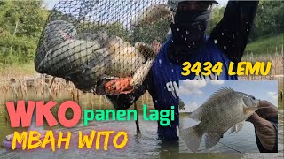 Mancing nyobok WKO terbaru‼️ spot sepi pemancing ternyata sarang ikan #fishing #fish #mancing