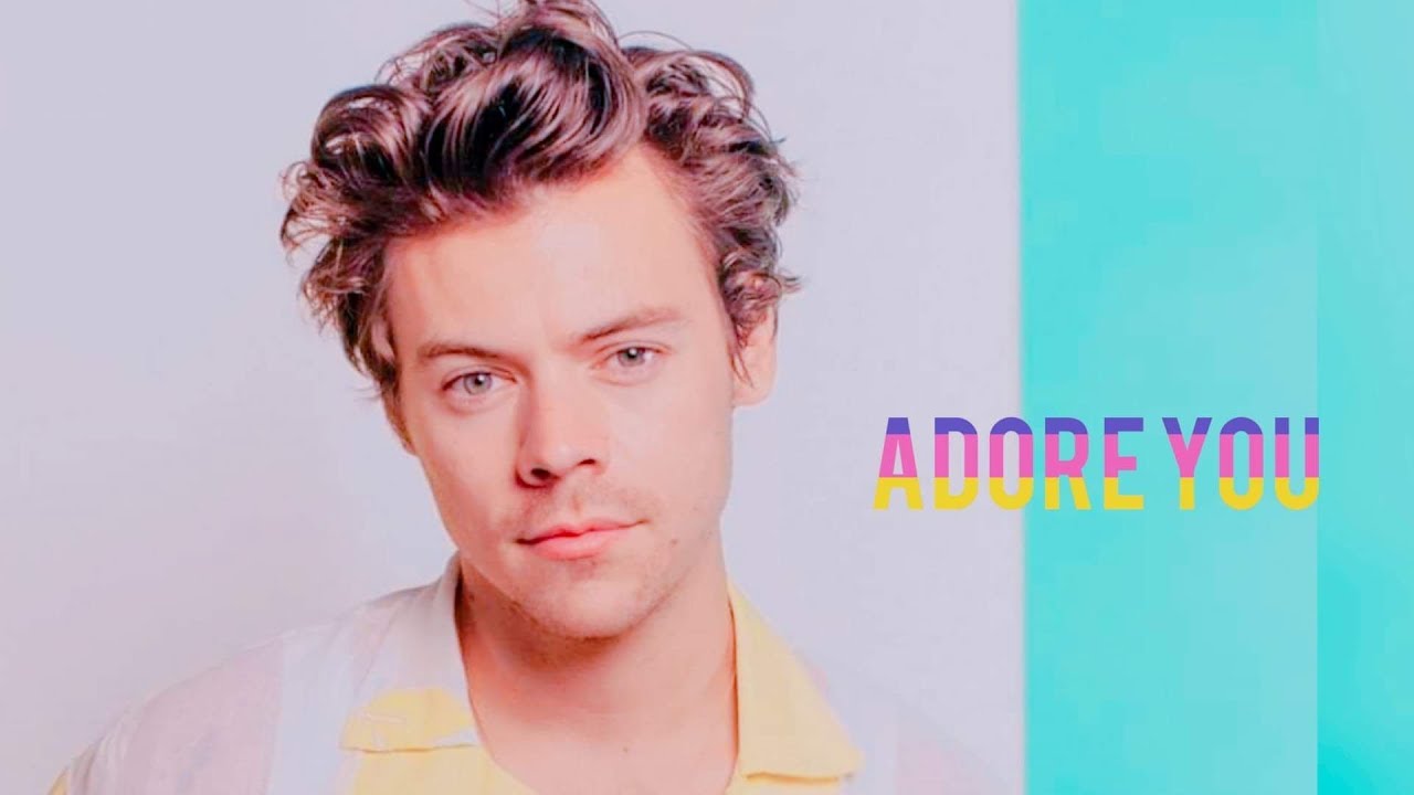 harry styles adore you biography