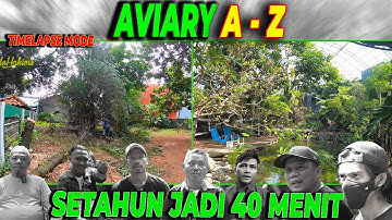 TIMELAPSE. IRIT WAKTU 1 TAHUN UNTUK LIHAT PEMBANGUNAN AVIARY DARI AWAL SAMPAI AKHIR