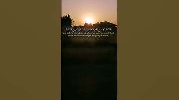 #سورة_الشعراء #اسلام_صبحي #القرآن_الكريم #المصحف #اكسبلور #راحة_نفسية #فلسطين