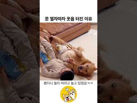 집에 왔는데 거실 상황이 너무 웃김ㅋㅋ
