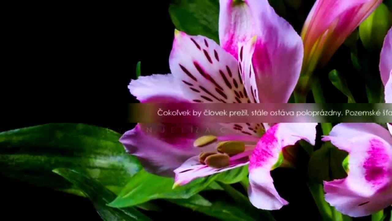 medit-cie-ubom-ra-stan-eka-ako-sa-spasi-lk-13-18-29-youtube