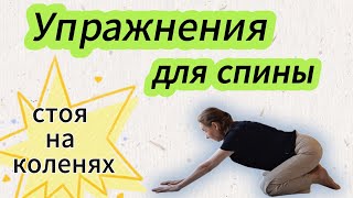 картинка: Упражнения для спины стоя на коленях