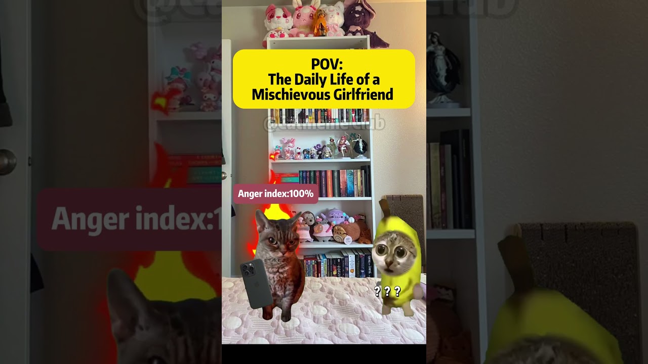 Girlfriend Logic: Make Him Angry → Act Cute → Problem Solved 😼❤️