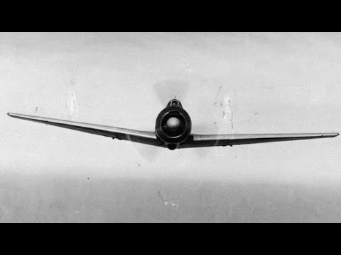 The Most Delicate Killer - Nakajima Ki-43