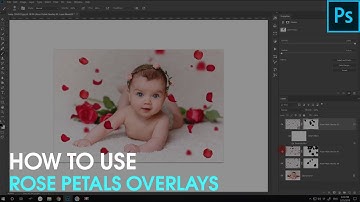 How to use Rose Petals Overlays
