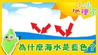 【為什麼海水是藍色的？】認識台灣_小小地理家第38集｜知識 ...